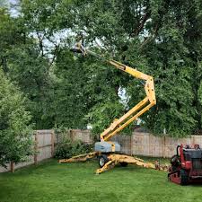 Best Seasonal Cleanup (Spring/Fall)  in Mount Carmel, IL